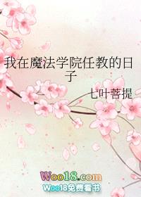 我在魔法学院任教的日子